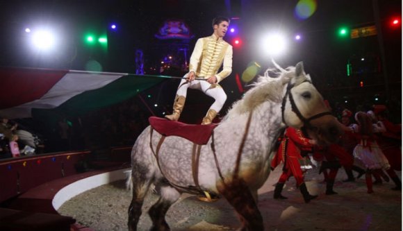 Cirkuszművészetben már egységesült Közép-Európa