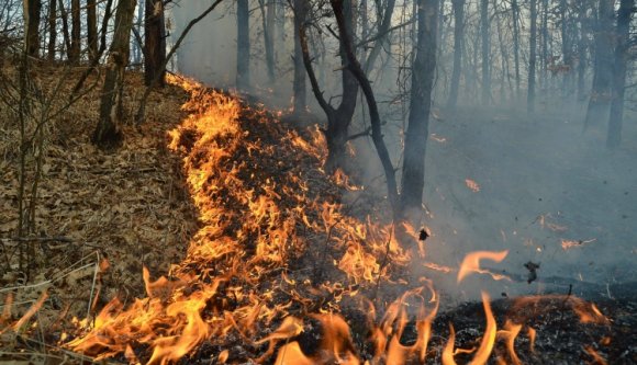 Helikopterrel oltják a tüzet Fehér megyében