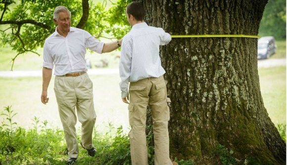 Látogatások és történelem