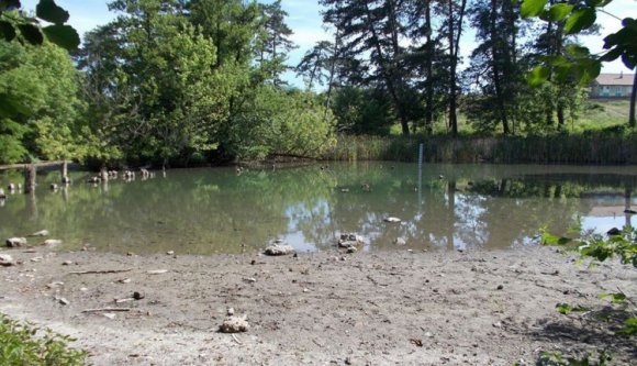 Három őshonos faj volt a Pece rezervátumában – mindhárom kihalt