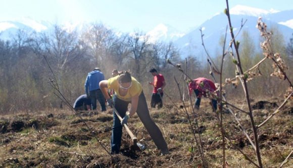 Szinte fölösleges volt az utóbbi évek nagy önkéntes faültetési hulláma