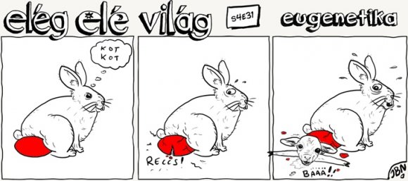 Elég elé világ – 4. évad, 31. epizód