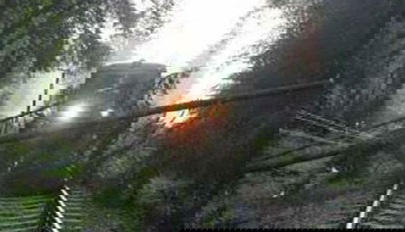 Erdély-szerte kidőlt fák nehezítik a közlekedést