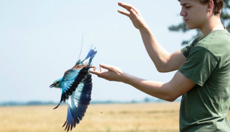 Megérkeztek az első erdélyi szalakóták Afrikába