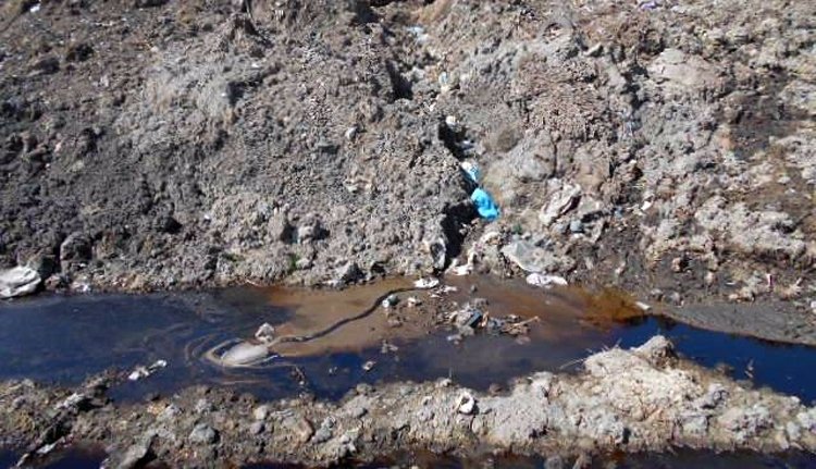 Látványosan gyarapodik a pataréti csurgalék