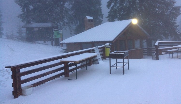 Nem bírnak a kocsmába, panzióba naponta betörő medvével