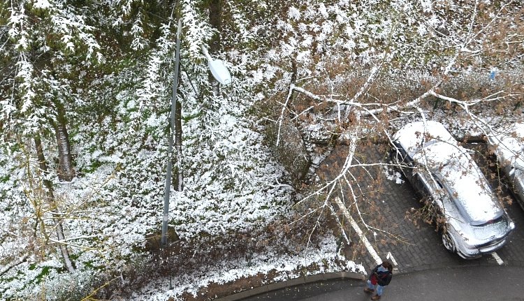 Bukarest lett a legnagyobb safe space az országban