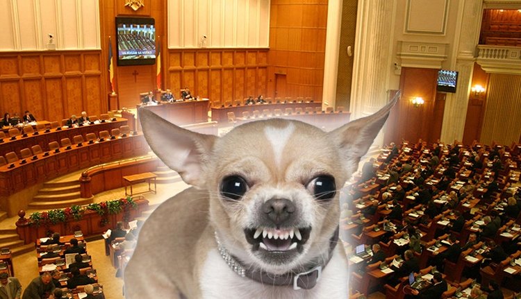 A kis pártok piszkálják a közigazgatási törvénykönyvet