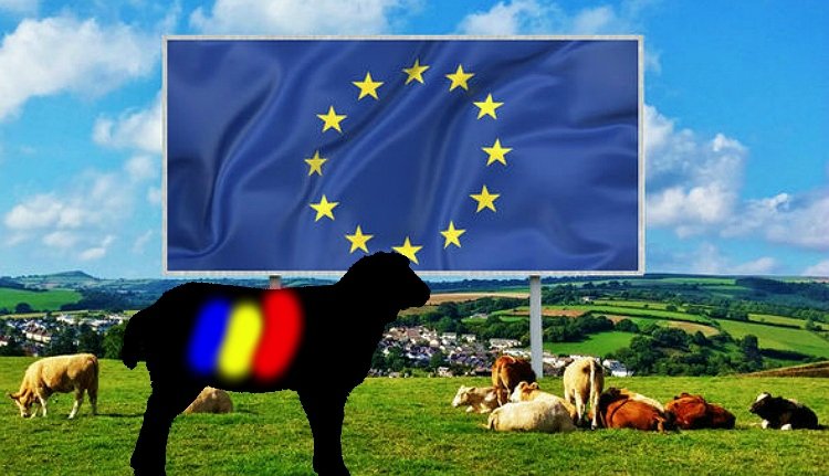Az Európai Unió új fekete báránya