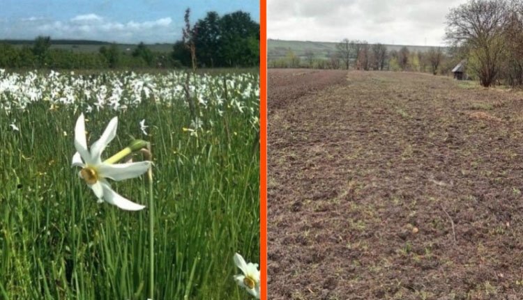Ekével estek neki a szászok természeti örökségének