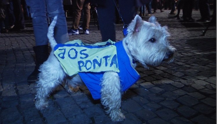 Így ünnepli Kolozsvár Johannis győzelmét