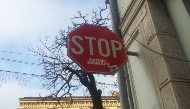 Nem a zoofágiára!