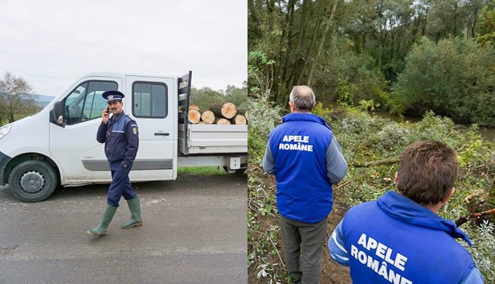 Így lopják a fát a vízügyesek