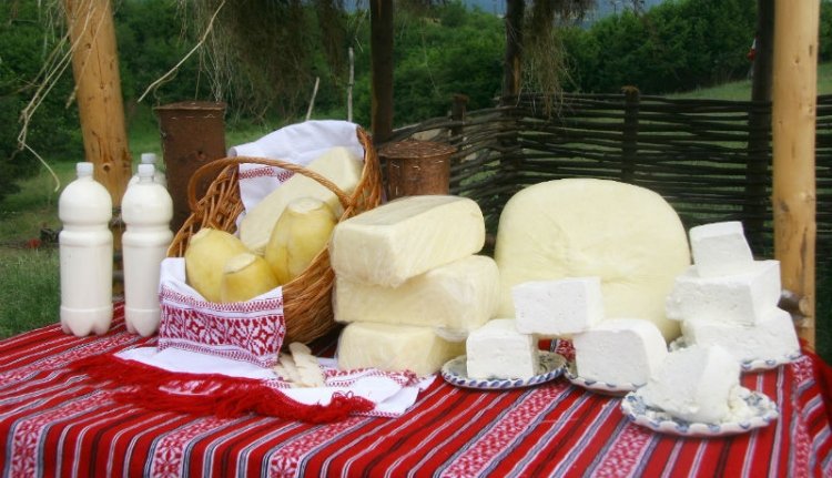 Magyarország megmenekült a baktériumfertőzött juhsajttól