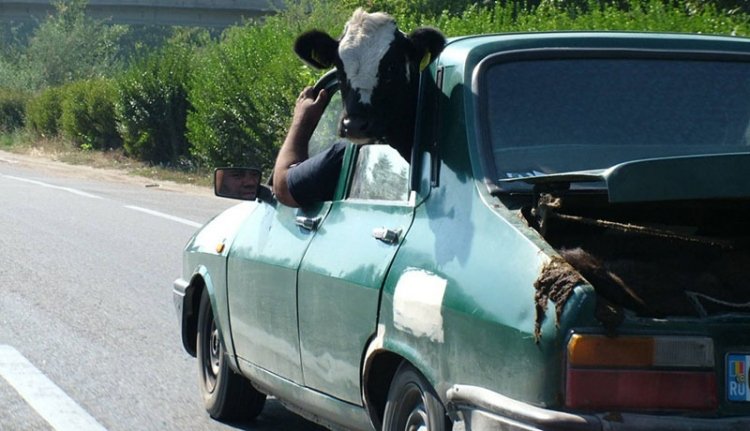 Meguntad? Cseréld le egy fiatalabbra!