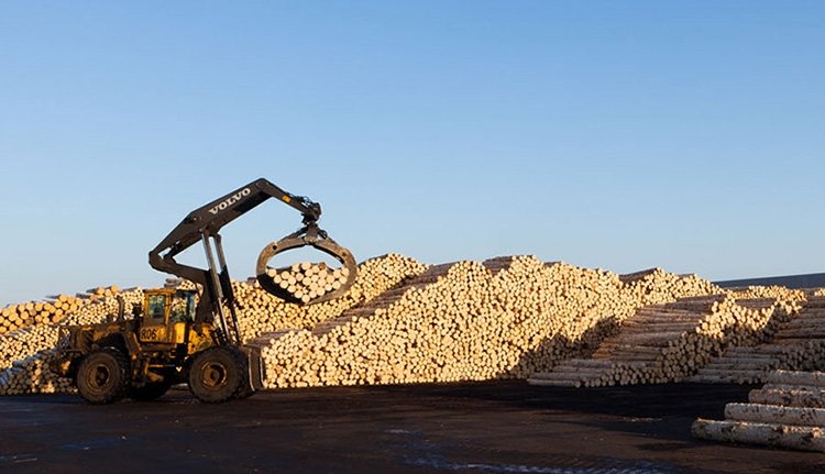 Meghalt egy dolgozó a Schweighofer rétyi üzemében