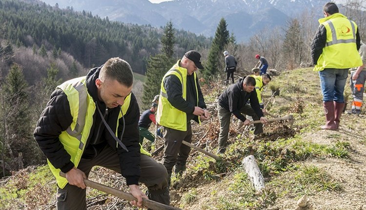 Fát ültetett a Schweighofer