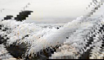 Vasárnapra is fagyba burkolózott Székelyföld