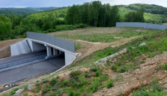 Mutatjuk, hol jönnek-mennek majd a medvék az épülő autópályán