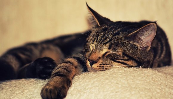 A választási irodában ránéztek a naptárra és úgy gondolták, itt az idő