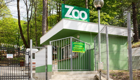 Bizarr történet Resicabányáról: 30 kisiskolást vert el a jég, mire lemondott az állatkert igazgatója