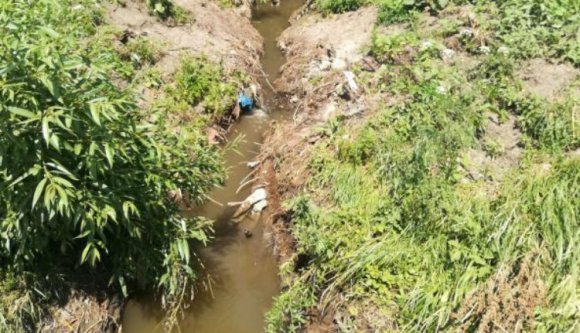 Hogy miért van annyi árvíz? Hát mert a fiatalok diszkóznak meg szexelnek!