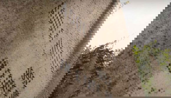 És azt tudta, hogy Bukarestben, a zsidó temetőben van Adolf Hittler sírhelye?