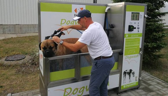 Hódít Erdélyben az önkiszolgáló kutyamosó
