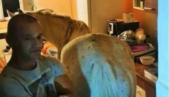 Ez a férfi felvitt egy lovat egy negyedik emeleti garzonlakásba, hogy meglepje a sógorát (VIDEÓval)