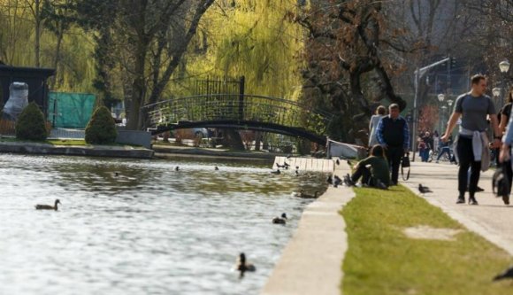 Titokzatos halállal halnak a vadkacsák Kolozsváron