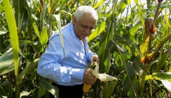 Tényleg hamis adatokkal akarja a kukorica uniós királyává koronáztatni magát Románia?