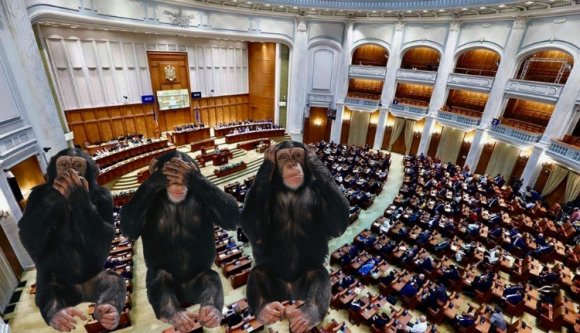 Megválasztották őket, azóta hallgatnak, mint szar a fűben