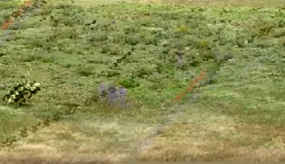 Beleszeretett Romániába egy belga, erre nem szinte agyonverték vendégszerető honfitársaink? (VIDEÓval)