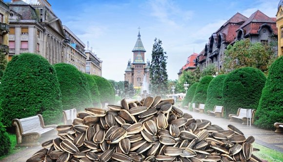 „Az oltyánok elözönlötték Temesvárt!” (VIDEÓval)