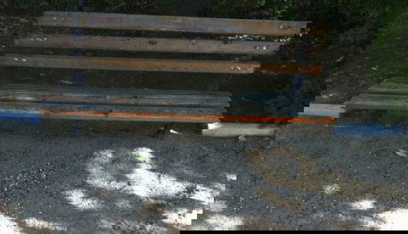 A bunkóság sokba kerül – tapasztalta meg egy szotyihéjat köpködő nő