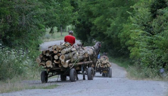 Halálra vertek egy férfit Háromszéken, mert beszólt a lovasszekeres gyorshajtóknak