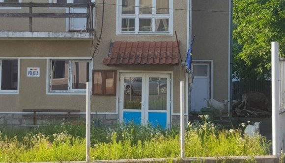 Víg életük van a kecskéknek egy Bihar megyei rendőrőrs udvarán