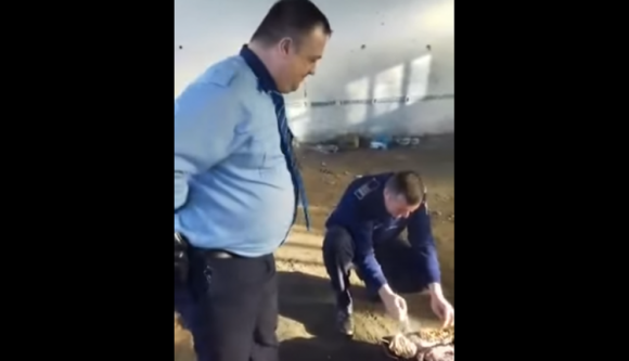 Ilyen büntetést kaptak a szolgálati időben grillező és mulatozó román rendőrök