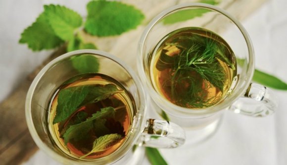 Mire jó a galagonya? Hogyan hat a diófalevél? Na és a mezei katáng? – Kolozsváron „rendelt” a bükki füvesember