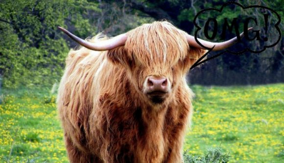 Romániában olcsó a hús, csak ön keres keveset ¯_(ツ)_/¯