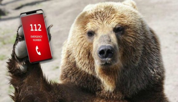 Ezért rühellik a Hargita megyei csendőrök Dörmögő Dömötört