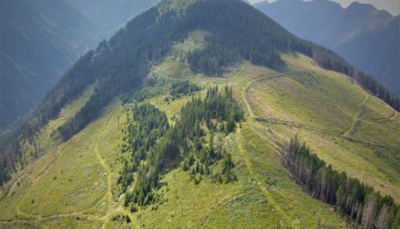 Brüsszeli bíróság elé citálják Romániát, amiért válogatás nélkül irtja az erdőit