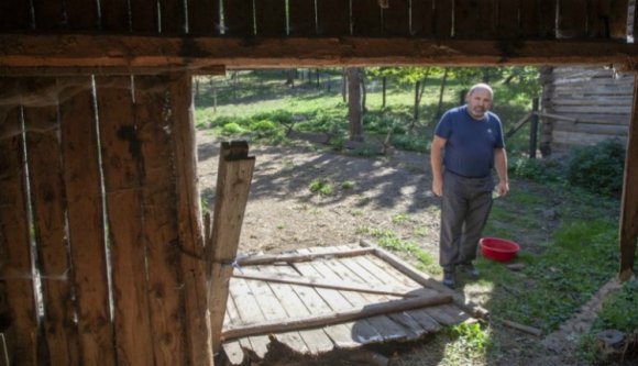 Lassan elfoglalják a medvék Homoródalmást, de az illetékesek nem tesznek semmit