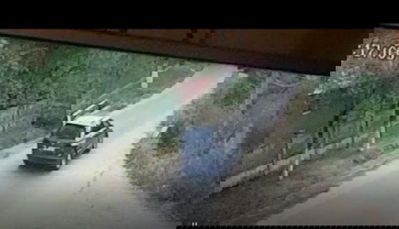 Újabb sokkoló gyilkosság történt Romániában, egy 11 éves kislány az áldozat (FRISSÍTVE)