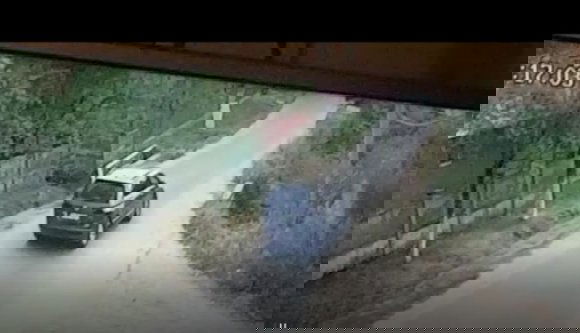 Egy másik romániai kislányt is zaklatott korábban a holland pedofil