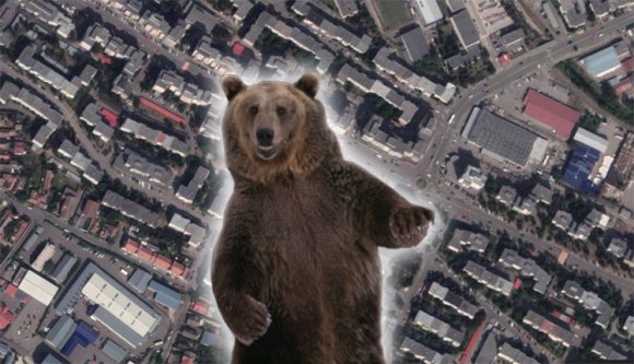 A medvék már a Tudorban vannak, tátti!