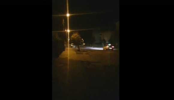 Taxi kergette ki a medvét Fogaras lakóövezetéből (VIDEÓval)