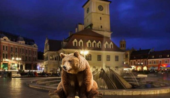 Saját székházukban látogatta meg a brassói erdészeket egy medve