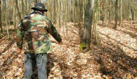 Erdészt öltek a fatolvajok az egyik partiumi megyében