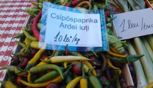 Elodázták a kétnyelvűséget